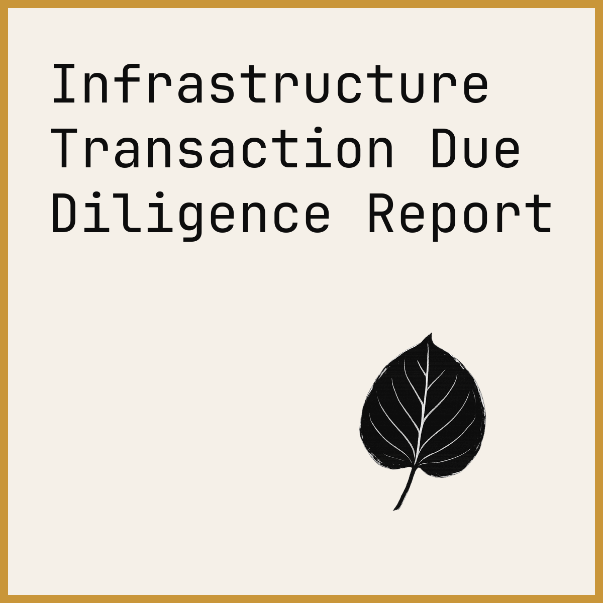 Infrastructure Transaction Due Diligence Report