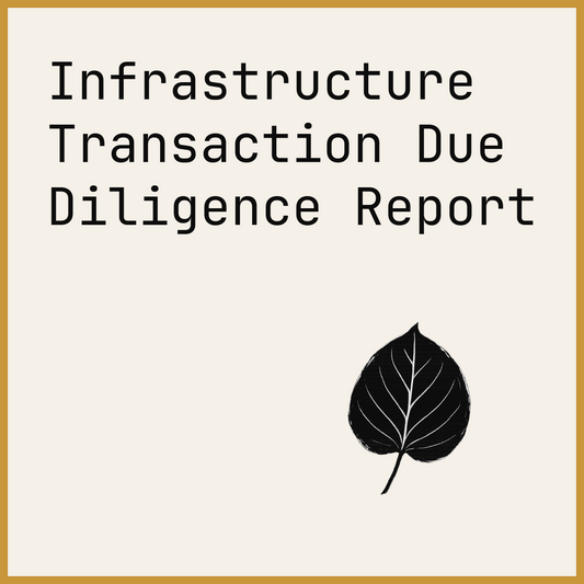 Infrastructure Transaction Due Diligence Report