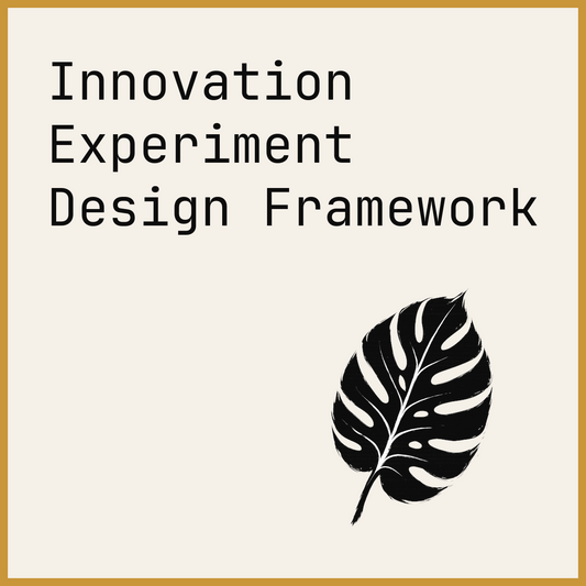 Innovation Experiment Design Framework