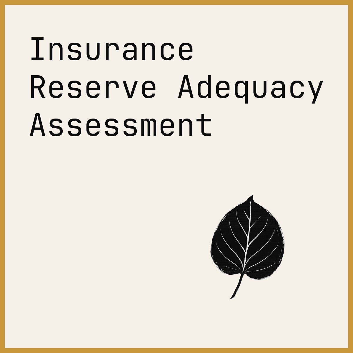 Insurance Reserve Adequacy Assessment