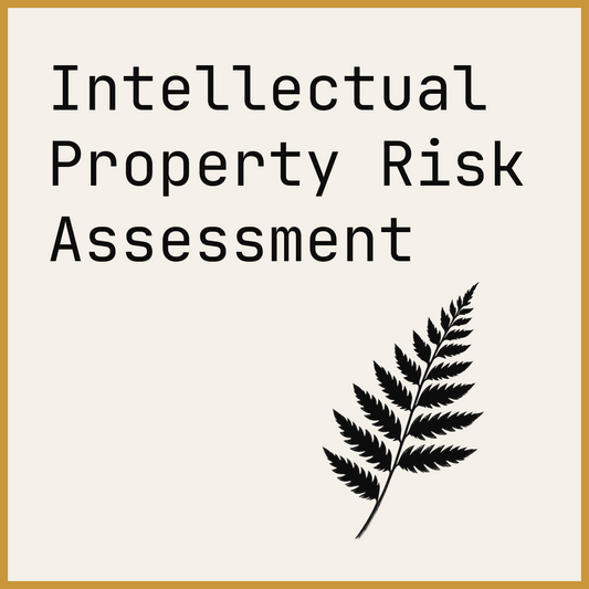 Intellectual Property Risk Assessment