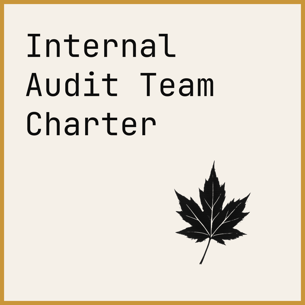 Internal Audit Team Charter