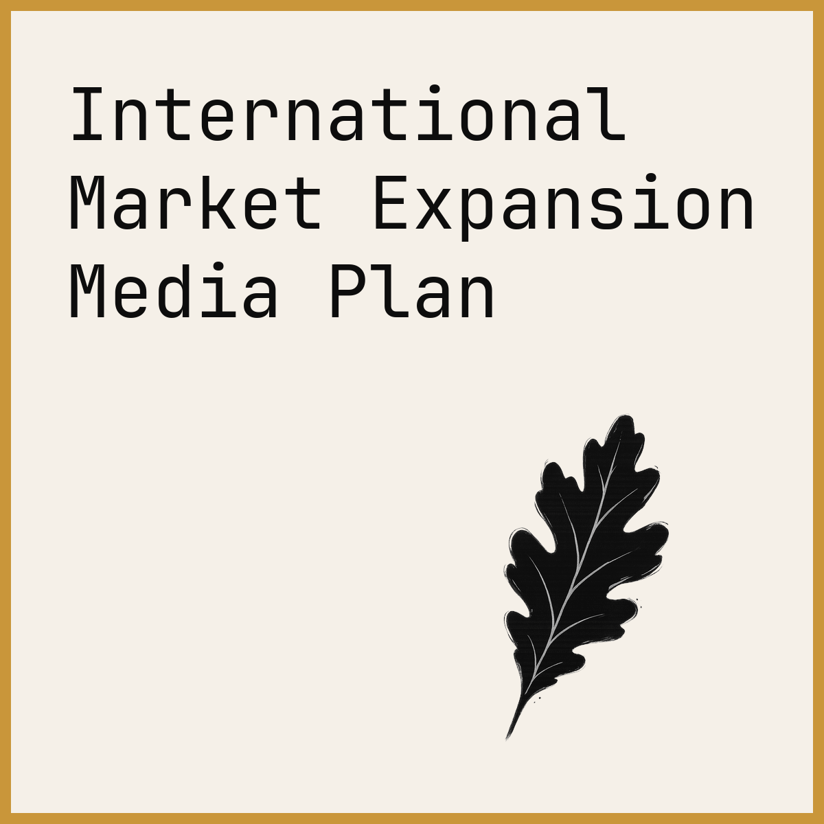 International Market Expansion Media Plan