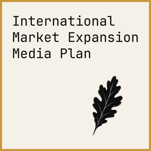 International Market Expansion Media Plan