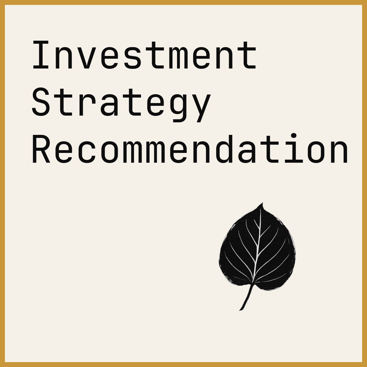 Investment Strategy Recommendation