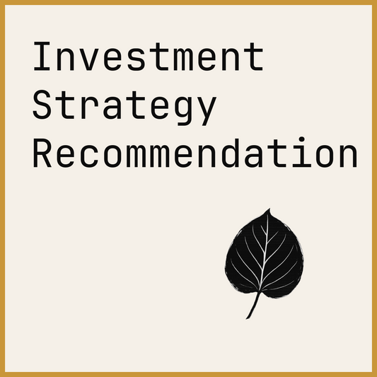 Investment Strategy Recommendation