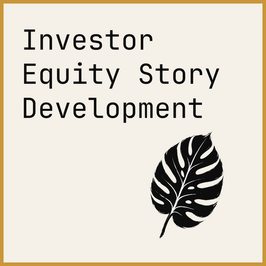 Investor Equity Story Development