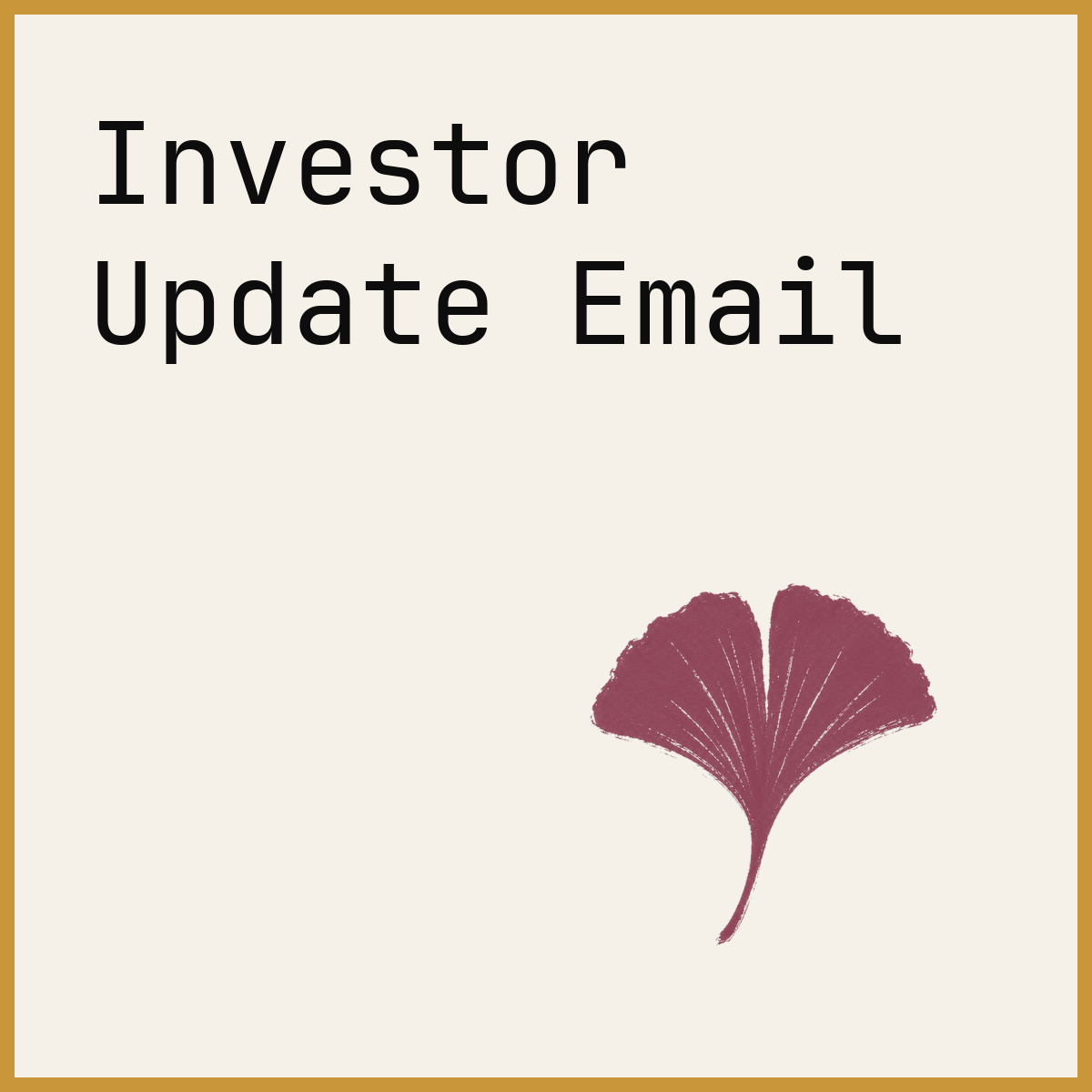 Investor Update Email