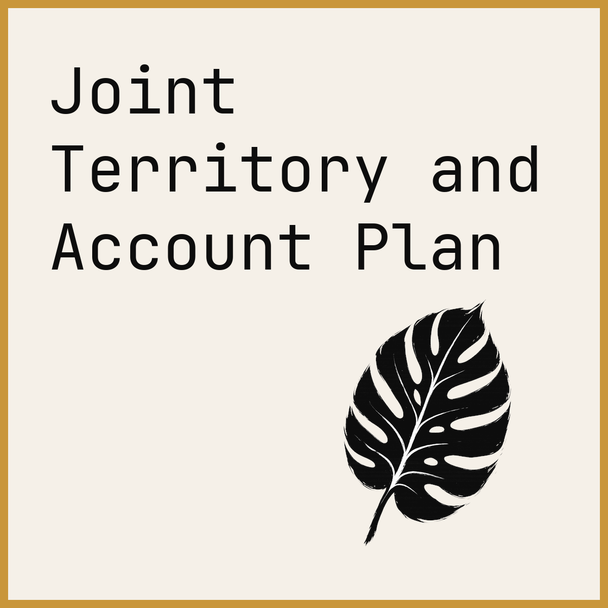 Joint Territory and Account Plan