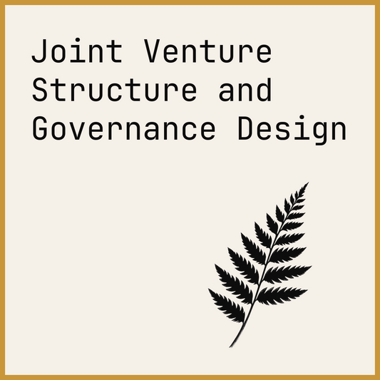 Joint Venture Structure and Governance Design