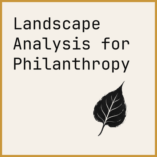 Landscape Analysis for Philanthropy