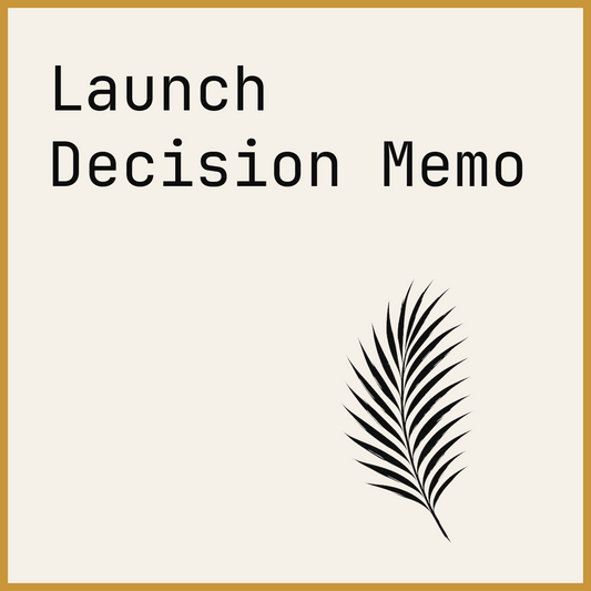 Launch Decision Memo