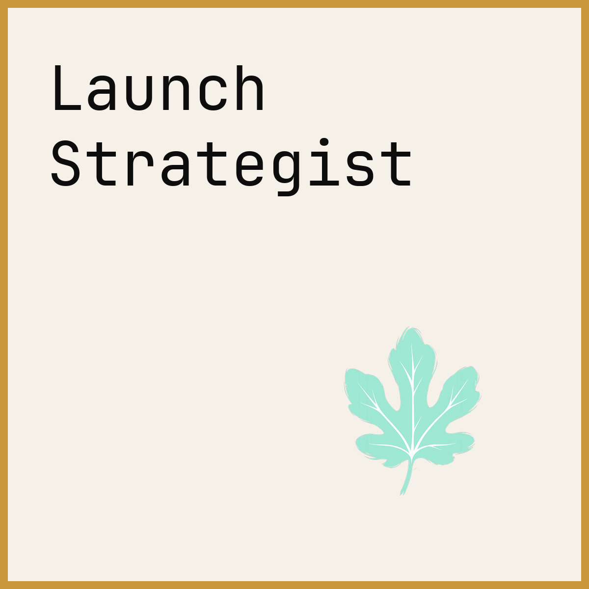 Launch Strategist