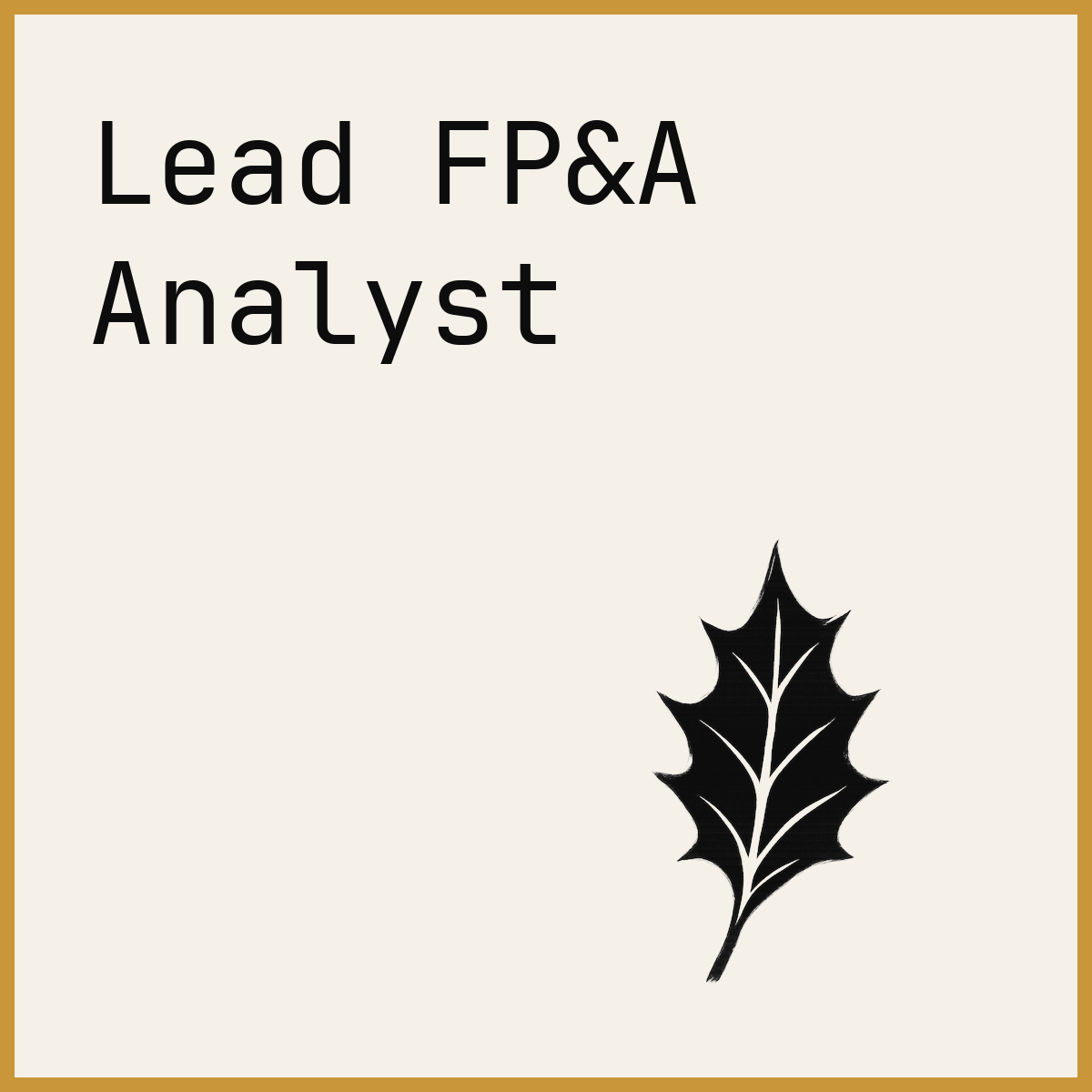 Lead FP&A Analyst