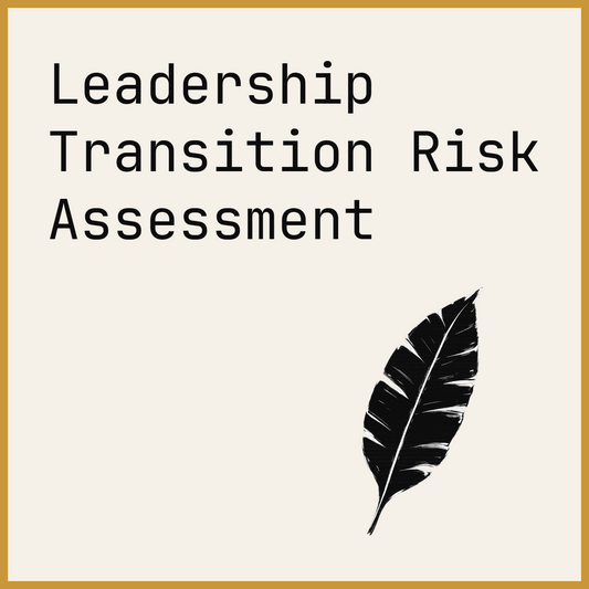 Leadership Transition Risk Assessment