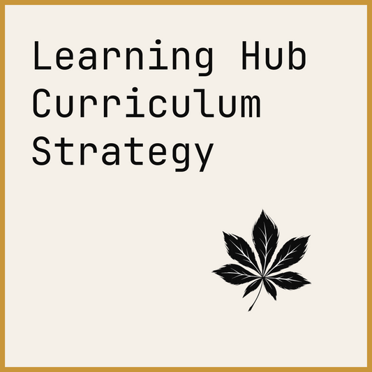 Learning Hub Curriculum Strategy