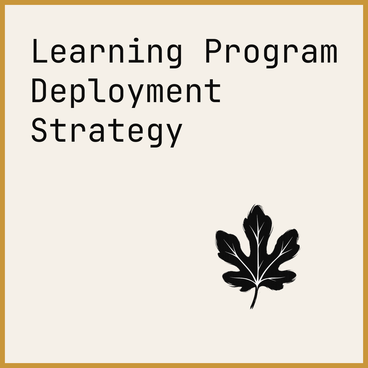 Learning Program Deployment Strategy