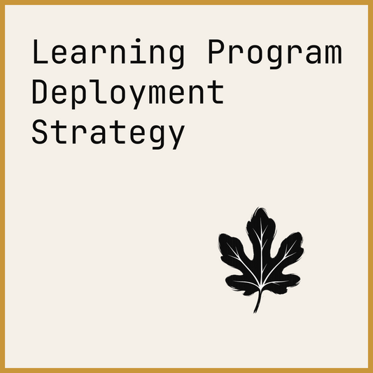 Learning Program Deployment Strategy
