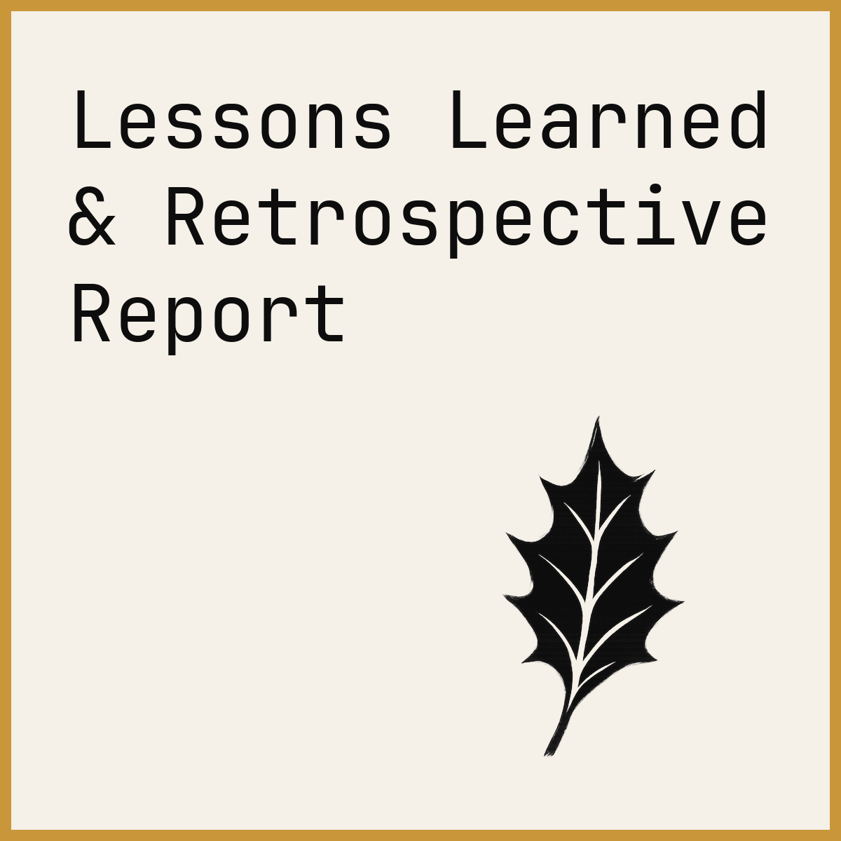 Lessons Learned & Retrospective Report
