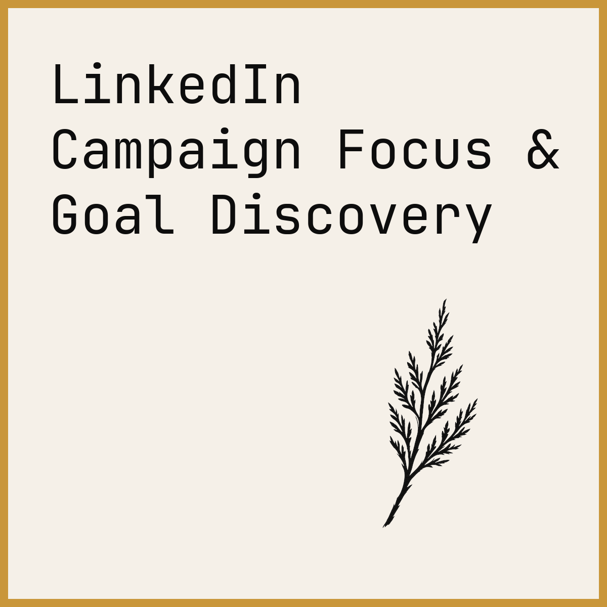 LinkedIn Campaign Focus & Goal Discovery
