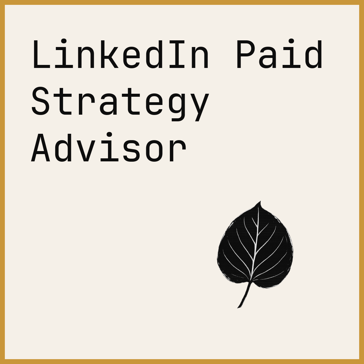 LinkedIn Paid Strategy Advisor