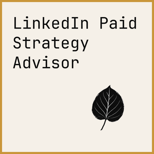 LinkedIn Paid Strategy Advisor