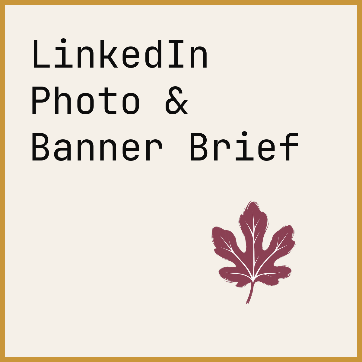 LinkedIn Photo & Banner Brief