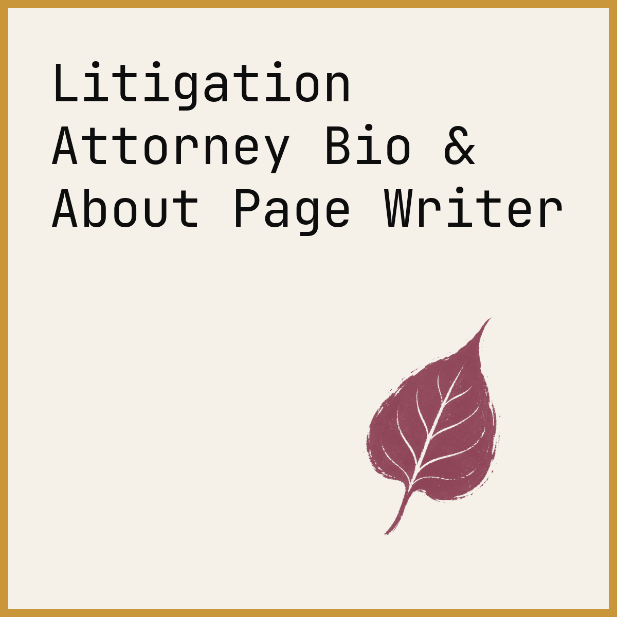 Litigation Attorney Bio & About Page Writer