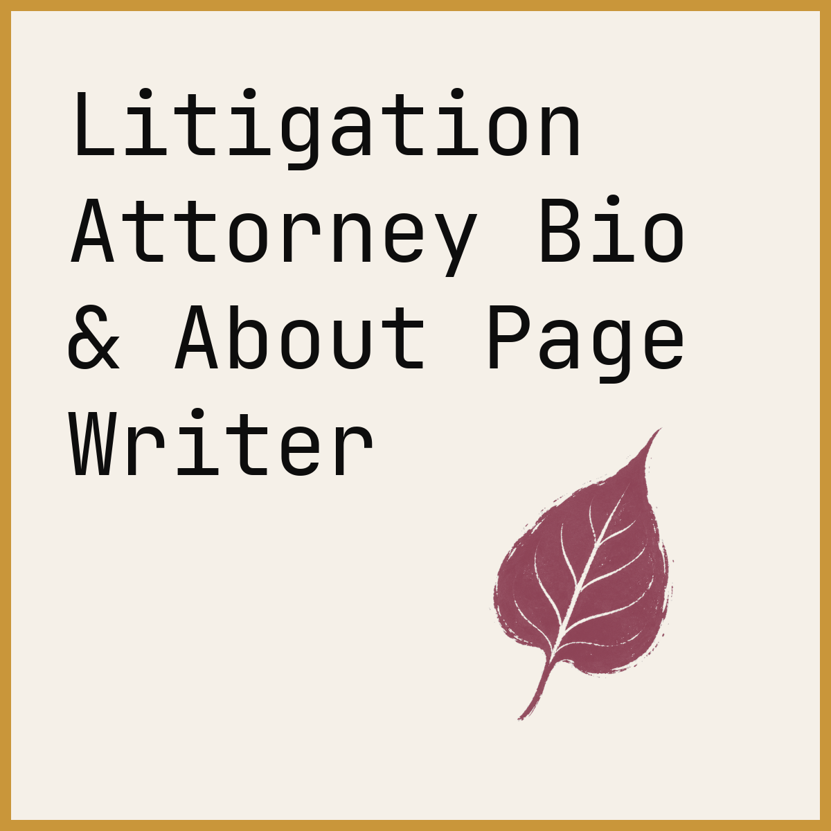 Litigation Attorney Bio & About Page Writer
