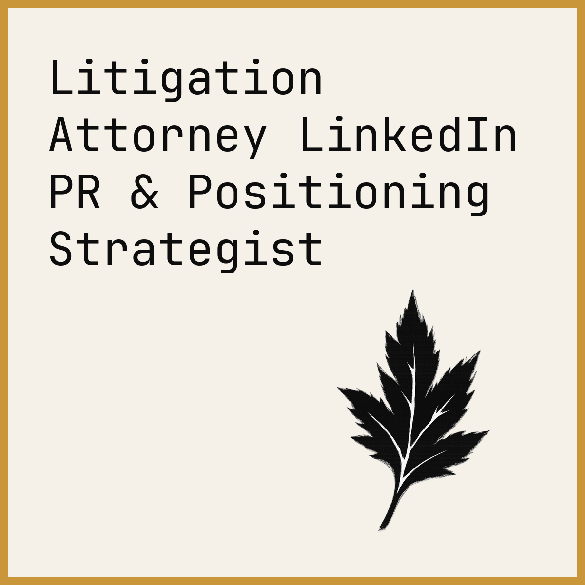 Litigation Attorney LinkedIn PR & Positioning Strategist