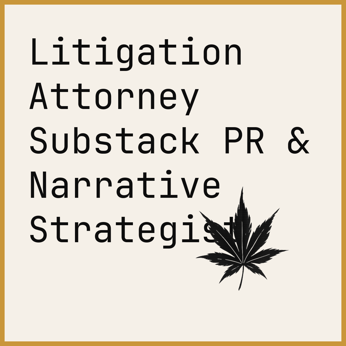 Litigation Attorney Substack PR & Narrative Strategist