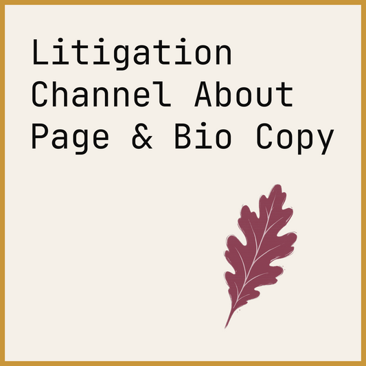 Litigation Channel About Page & Bio Copy