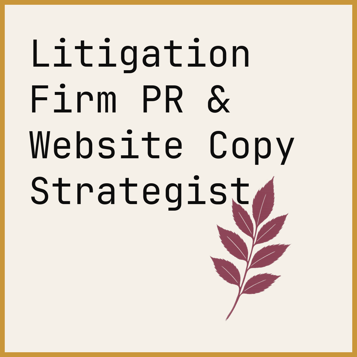Litigation Firm PR & Website Copy Strategist