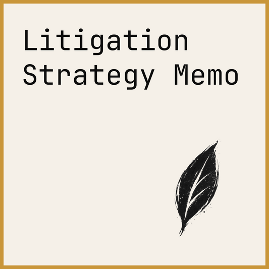 Litigation Strategy Memo