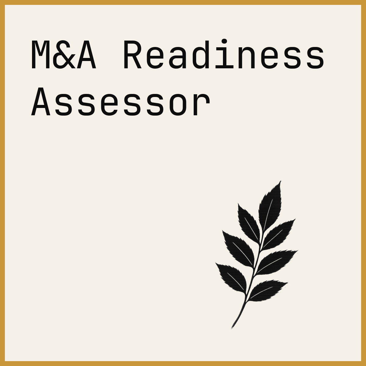 M&A Readiness Assessor