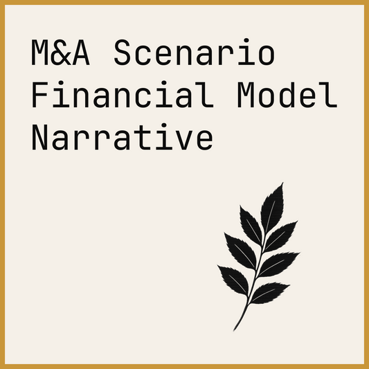 M&A Scenario Financial Model Narrative