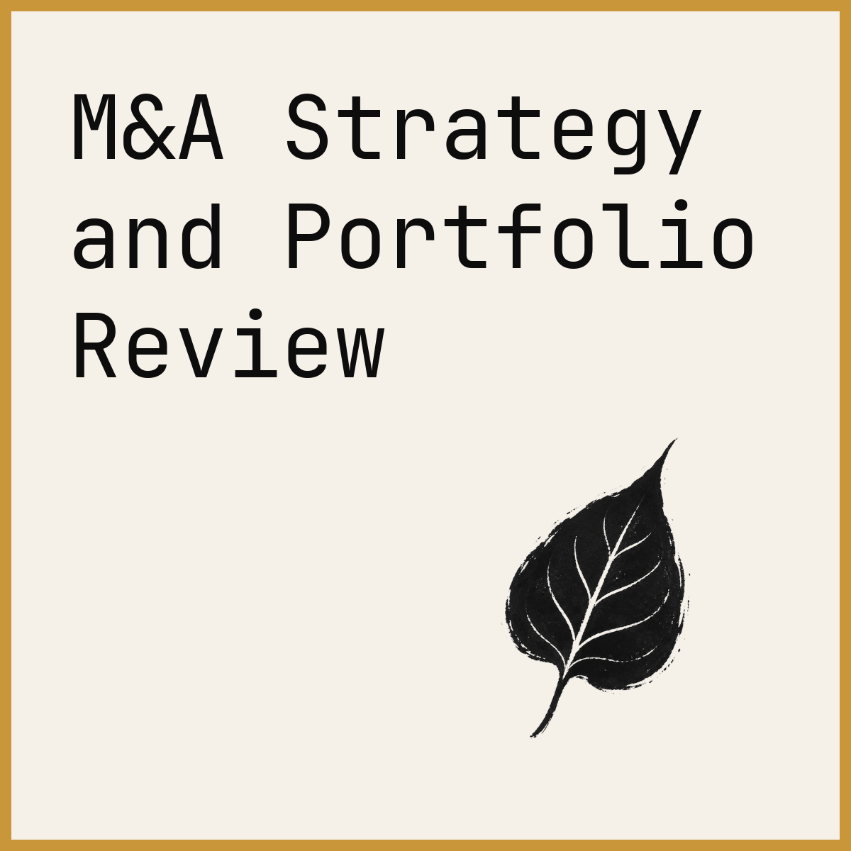 M&A Strategy and Portfolio Review