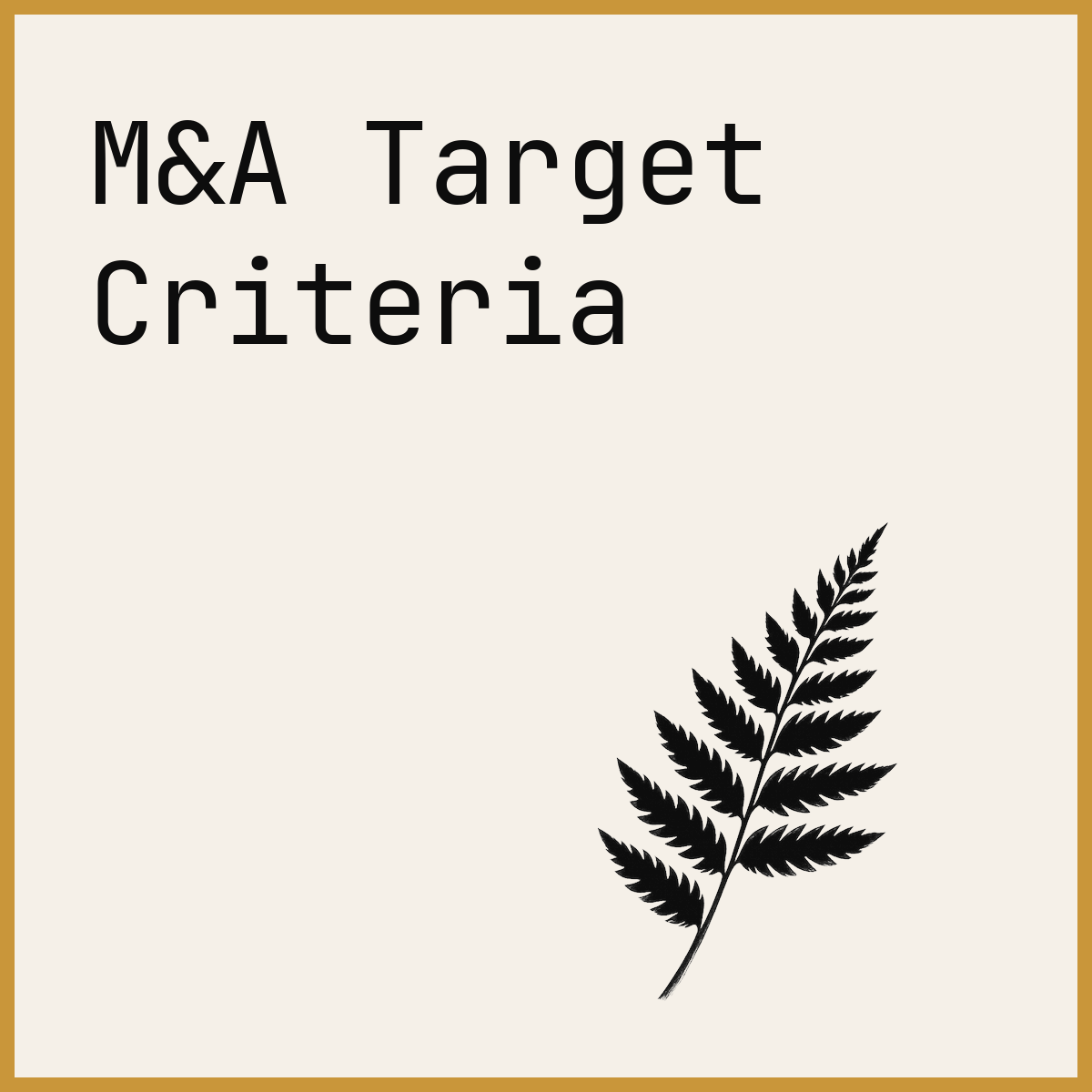 M&A Target Criteria