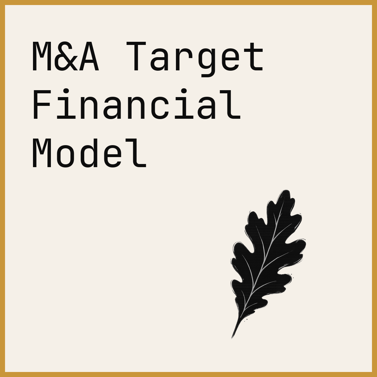 M&A Target Financial Model