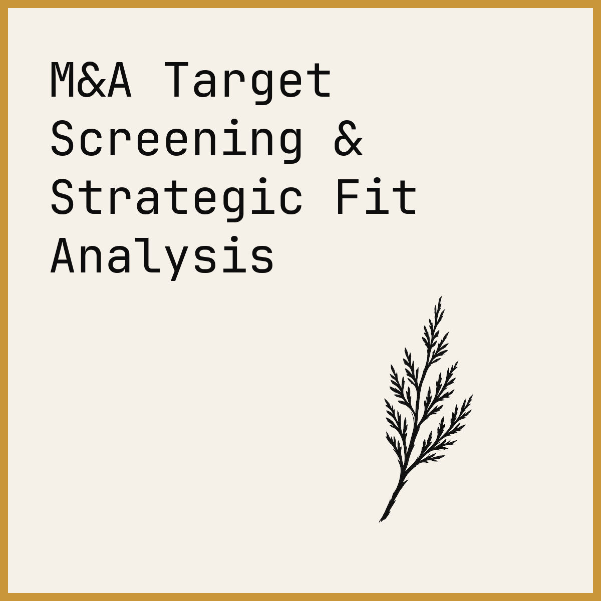 M&A Target Screening & Strategic Fit Analysis