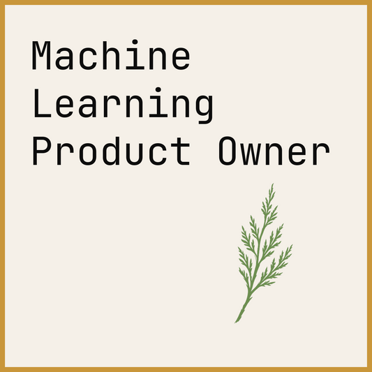Machine Learning Product Owner