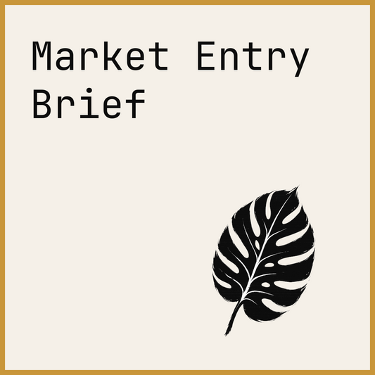 Market Entry Brief