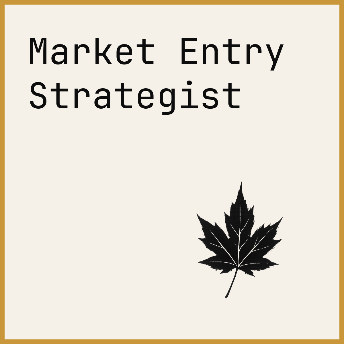 Market Entry Strategist