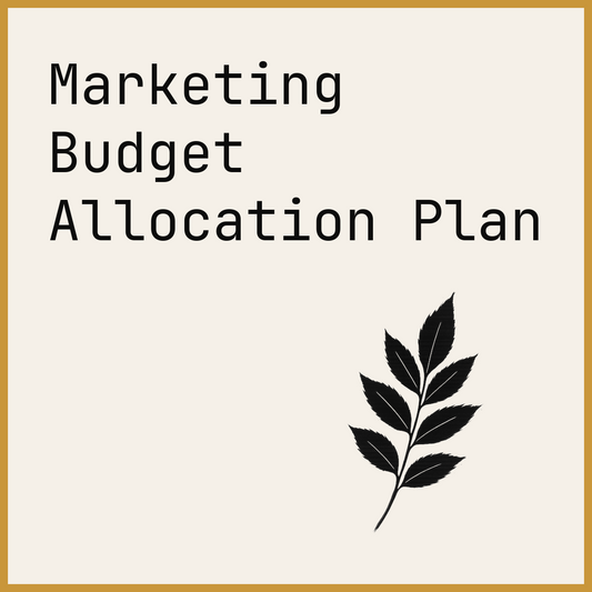 Marketing Budget Allocation Plan