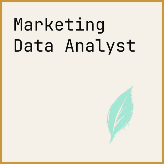 Marketing Data Analyst