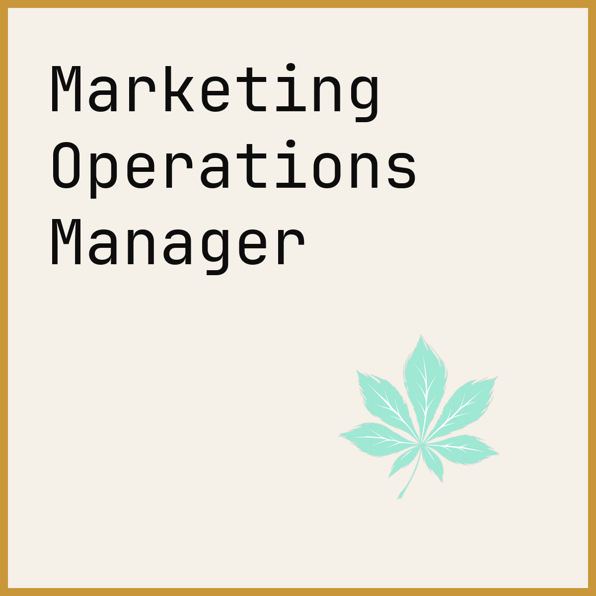 Marketing Operations Manager