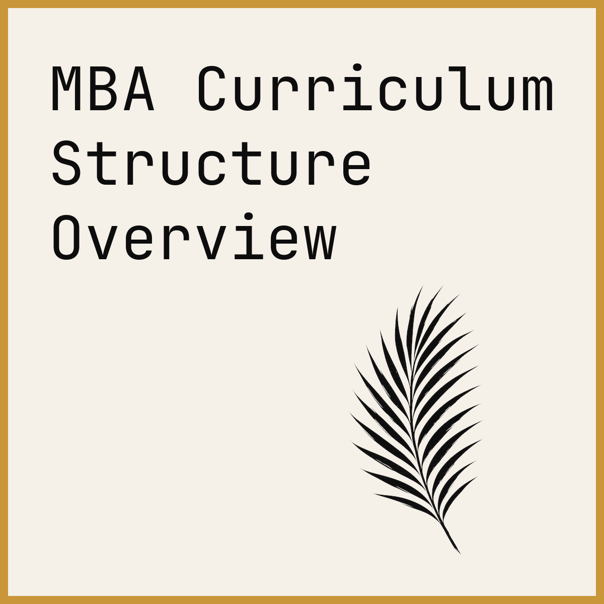 MBA Curriculum Structure Overview