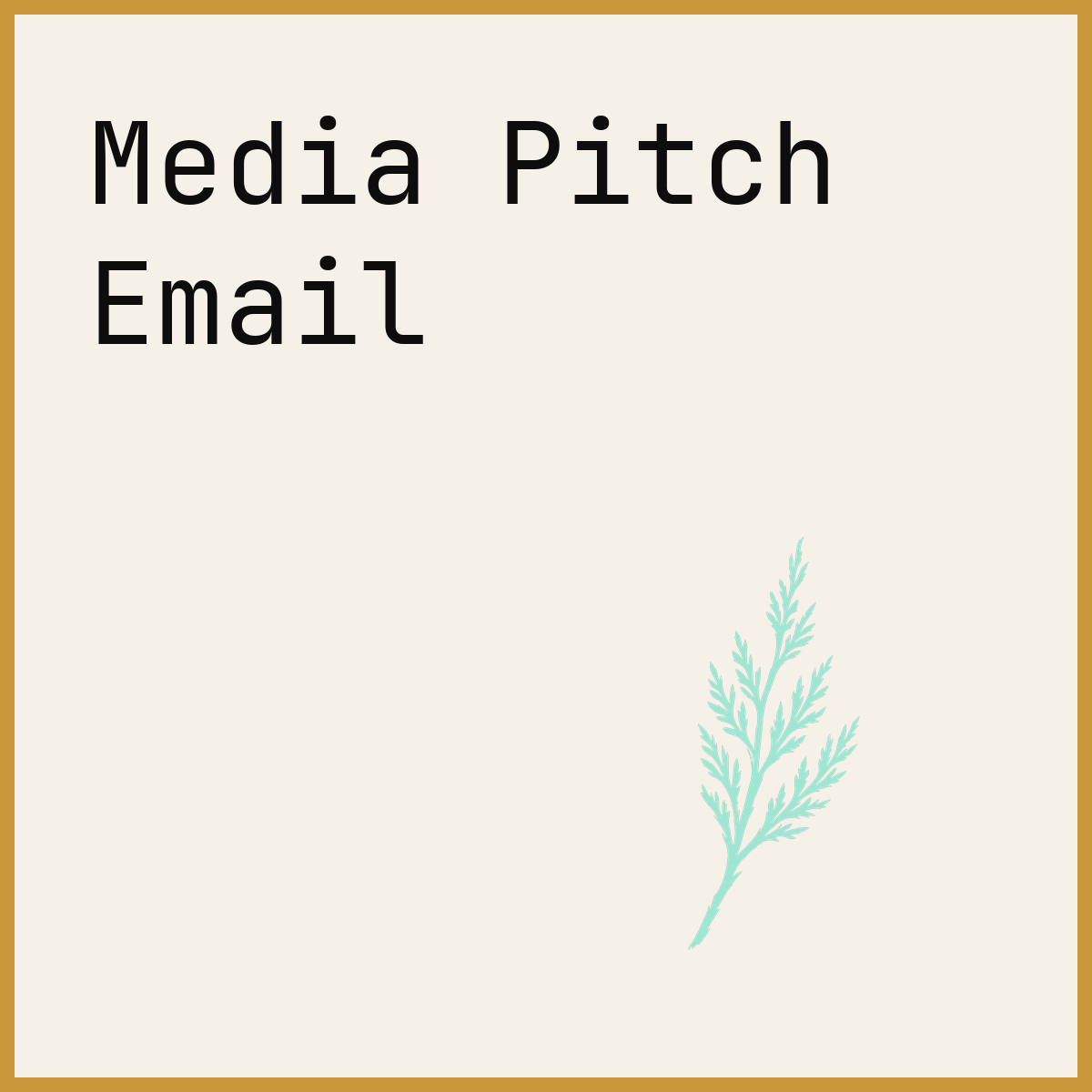 Media Pitch Email
