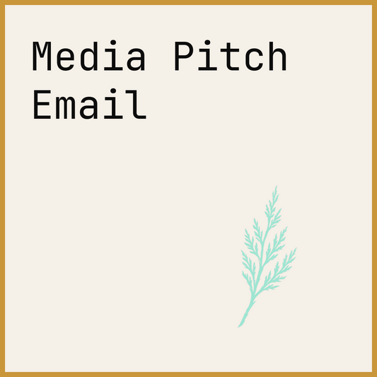 Media Pitch Email