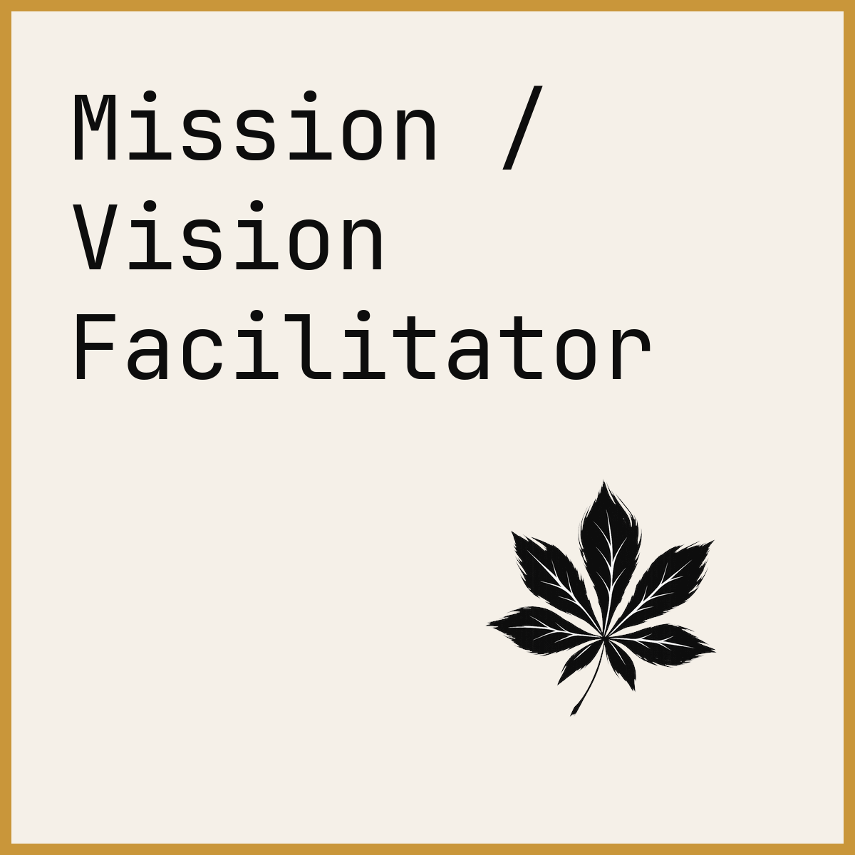 Mission / Vision Facilitator